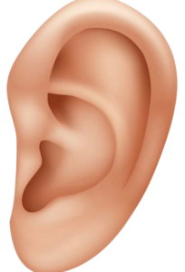 Personalized fitting